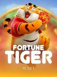 melhor hora para ganhar no fortune tiger ícone